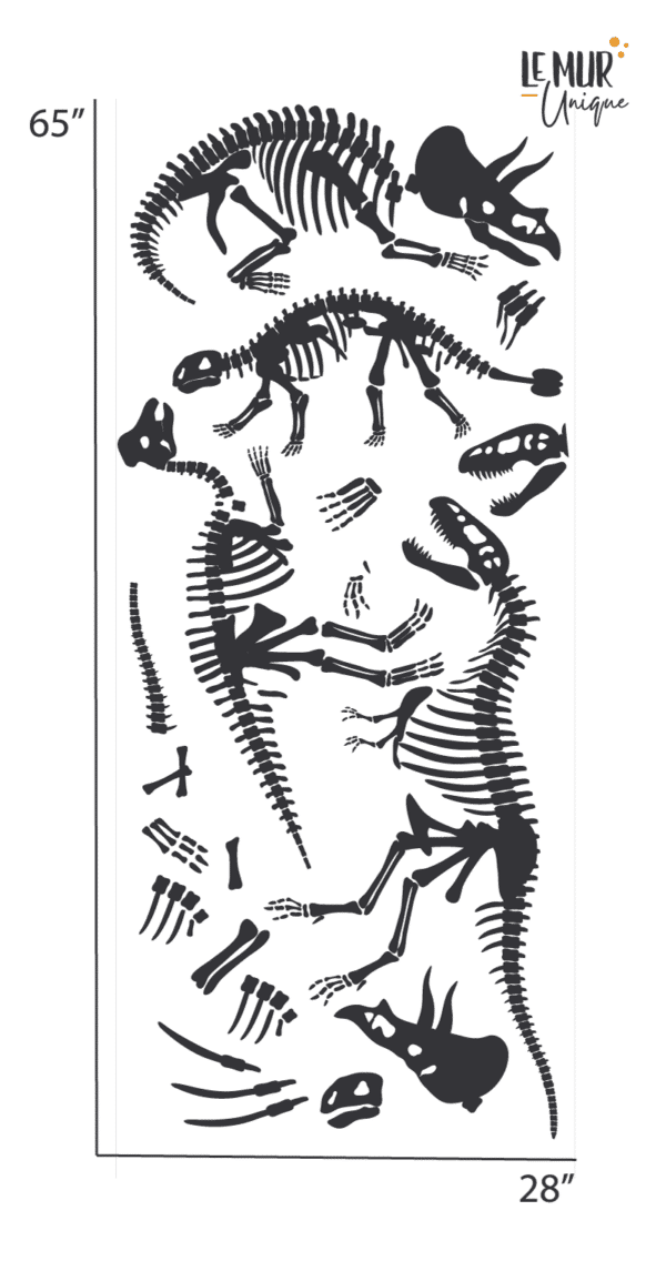 Ossements de dinosaures – Image 4