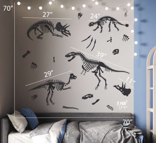 Ossements de dinosaures – Image 3