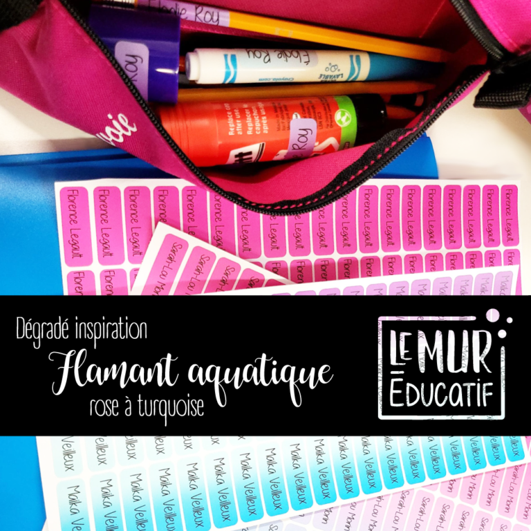 Étiquettes Autocollantes Personnalisables X50 - Format 19x51mm - Résistantes Eau Et Frottements - Pour Stylos, Fournitures, Organisation